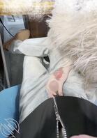  妹妹渔网丝袜挑逗哥哥 餐厅摸着鸡巴到民宿调教 狂射精液飞到颈部1