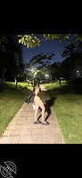 寮步有哪里适合野战的？0