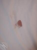 如何去玩女大教学版1