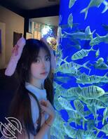 「投稿原创」三姐妹自拍，你最想肏哪一个呢0