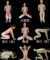 努力把爱妻调教成母狗