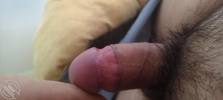 廊坊安次男大，想找个姐姐少妇一起开心，降火，天天晨勃成这样有点受不了了。2