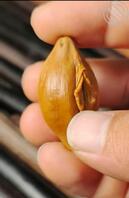 年前最后一批 有兴趣的来