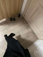 今天有机会翻到了妈妈的相册2