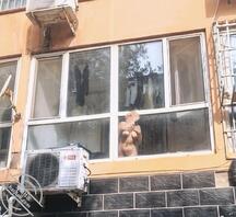 对面楼的，这会过去是不是能直接操？2