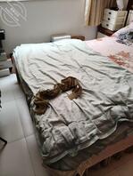 宝鸡眉县打胶，同好可一起玩2