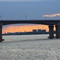 樟树的有露出的吗0