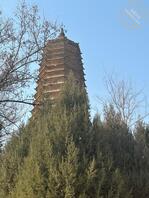 保定同城找夫妻熟女良家2