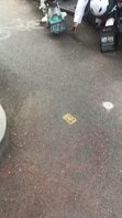 小区白裤全职太太又买早餐了