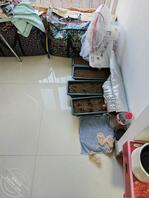 潜入90年小阿姨的房间，没发现有什么亮点0