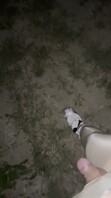 平邑肥猪伪娘 户外发骚