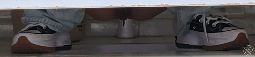 厕拍女大（新）0