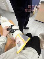 【原创内容117】妈妈回来带回来一条狗生病了，给妹妹心疼坏了2