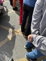 偷拍的 好像没穿内裤的小浪逼 裤子都夹紧逼里了0