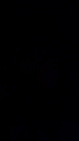 [原创]侧入草小骚货，穿着蕾丝边丝袜