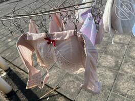 内衣 内裤 丝袜打胶保养 扫楼顶