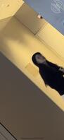 (原创)回归厕拍帖0