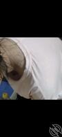 姐姐真白2