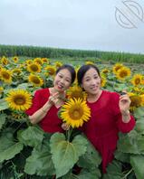 这种该怎么才能征服1