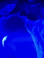 招帅气单男！！！