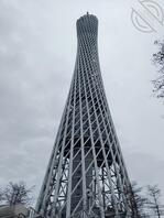 今天22号去了广州塔住在附近,老婆说明后天打算去长隆做过山车,有没有导游1