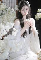 白月光版汉服2