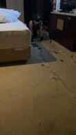 极品绿帽淫妻 跨年夜被单男带到酒店操成母狗