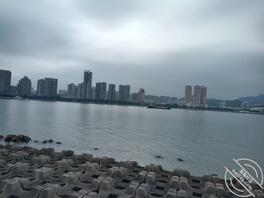 我的堂嫂