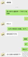 小狗任务反馈