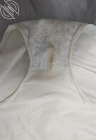 绿母同好交流,求经验分享2