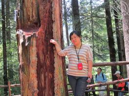 求哪位大佬帮我姐脱衣