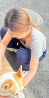 她在摸狗、我在看胸、好大的胸1