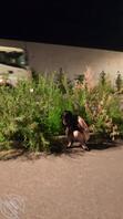 带老婆晚上露出被路过大车看见2