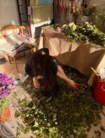 9，堂妹约了朋友去喝酒，不知今晚会不会喝多，期待再次合体2