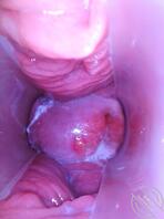 性感美女的阴道内部长什么样呢1