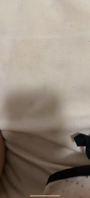网调露脸小母狗调教自慰福利管理看下成年了
