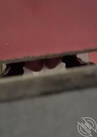 厕拍t模杨娜&别以为你穿条运动短裤我就抄不了底！2