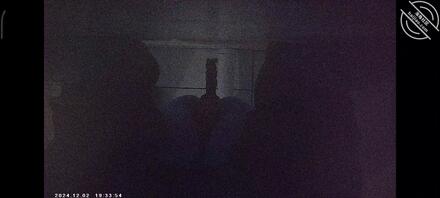 偷拍邻居嫂子的嫂逼。