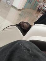 按摩椅的蕾丝脚