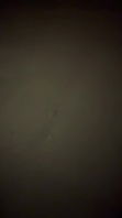 我的170大个母狗，大连的公务员，极度反差，多次被我兄弟轮操