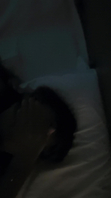 骚货调教淫语受不了