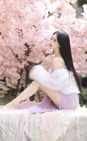 冬天的樱花让人更温柔
