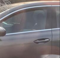 发现公司附近高冷女神的秘密0