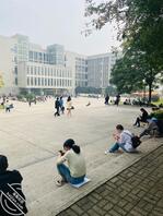 又见骚逼们1
