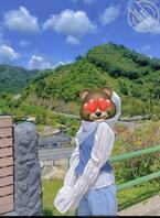 回族表妹。回族有没有投稿的