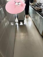 聊聊让儿子和老婆乱伦这事，第十五帖