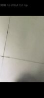 你老婆拉完尿后叫我舔她的蝴蝶逼