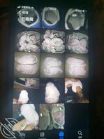 偷表妹袜子打飞机1