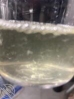 用陈希和糖糖逼放大的照片发给她们看& 糖糖昨天喝了我一杯浓精2