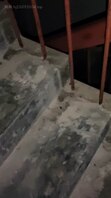 楼道全裸自慰